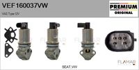 FLAMAR VEF160037VW - Válvula EGR - Genuine