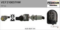 FLAMAR VEF210037VW - Válvula EGR - Genuine