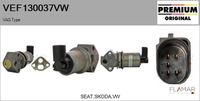 FLAMAR VEF130037VW - Válvula EGR - Genuine