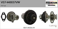 FLAMAR VEF440037VW - Válvula EGR - Genuine