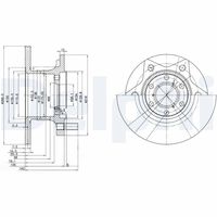 DELPHI BG302 - Disco de freno