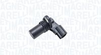 MAGNETI MARELLI SAC001 - Código de motor: QQDC<br>Número de enchufes de contacto: 2<br>Forma del enchufe: oval<br>