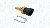 MAGNETI MARELLI SPA146 - Sensor, temperatura del refrigerante