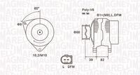 MAGNETI MARELLI MQA1588 - Corriente de carga alternador [A]: 120<br>Modelo red de a bordo: para vehículos con red de a bordo 12V<br>Tensión [V]: 14<br>Poleas: con polea múltiple<br>poleas - Ø [mm]: 65<br>Número de nervaduras: 6<br>Pinza: M8 B+<br>Pinza: L-DFM<br>ID del modelo de conector: 0121<br>Diámetro de orificio 1 [mm]: 10<br>peso neto [kg]: 6,52<br>