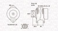 MAGNETI MARELLI MQA2102 - Alternador