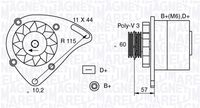 MAGNETI MARELLI MAN331 - Alternador