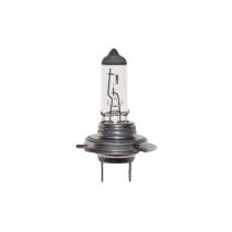  4271255 - REC OF LAMP.H-7 12V 55W LARGA V